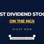 Best Dividend Stocks on the NGX Right Now