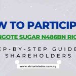 How to Participate in the Dangote Sugar N486bn Rights Issue: A Step-by-Step Guide for Shareholders