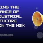 Evaluating the Performance of Agro-Industrial vs. Healthcare Stocks on the NGX