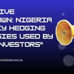 "Exclusive Breakdown: Nigeria Currency Hedging Strategies Used By Elite Investors"
