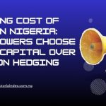 The Rising Cost of Credit in Nigeria: Why Borrowers Choose Cheaper Capital over Inflation Hedging